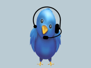 Animated Blue Bird with a Headset
