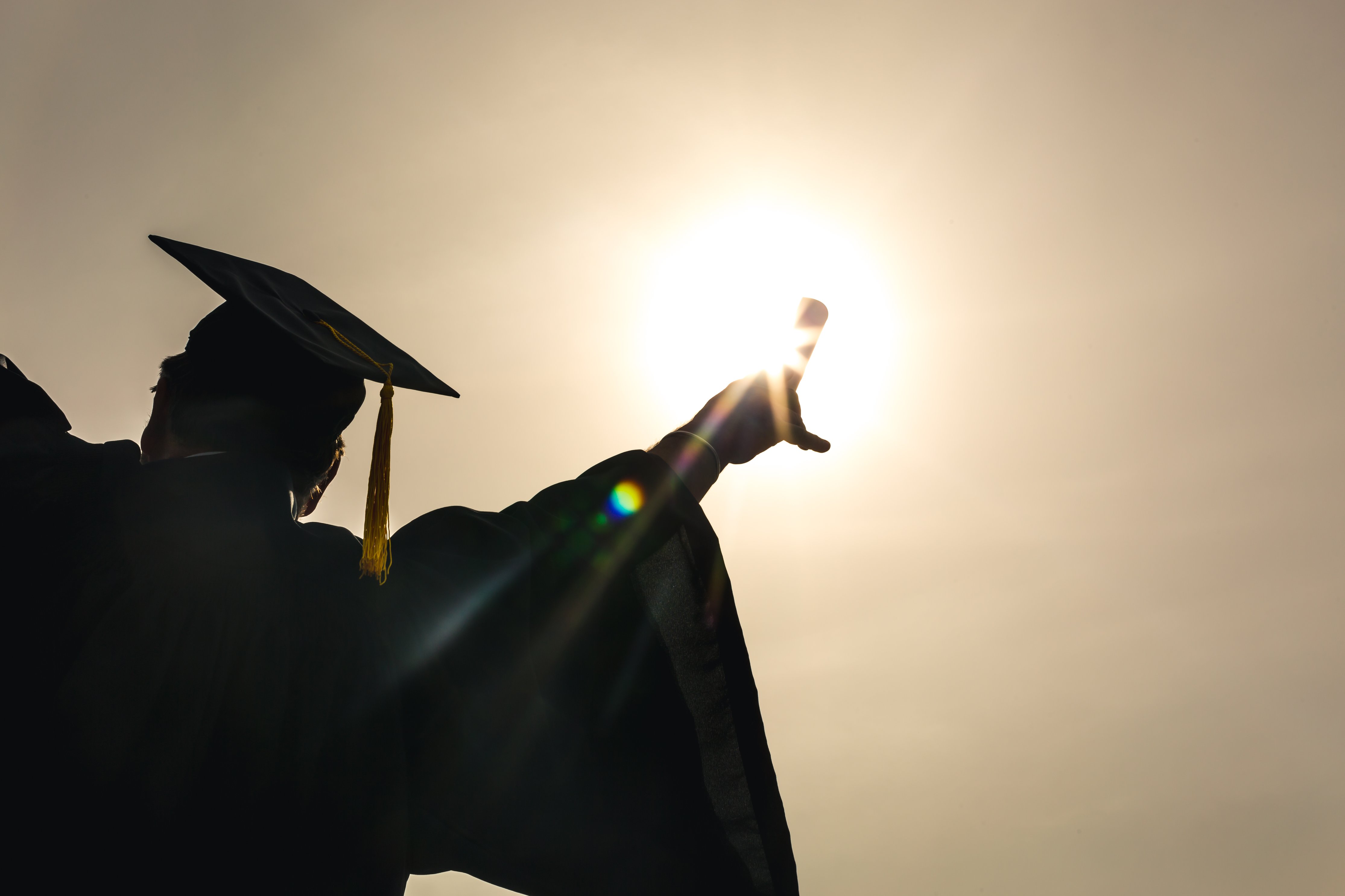 labor force trends a graduate holding a diploma bottom view