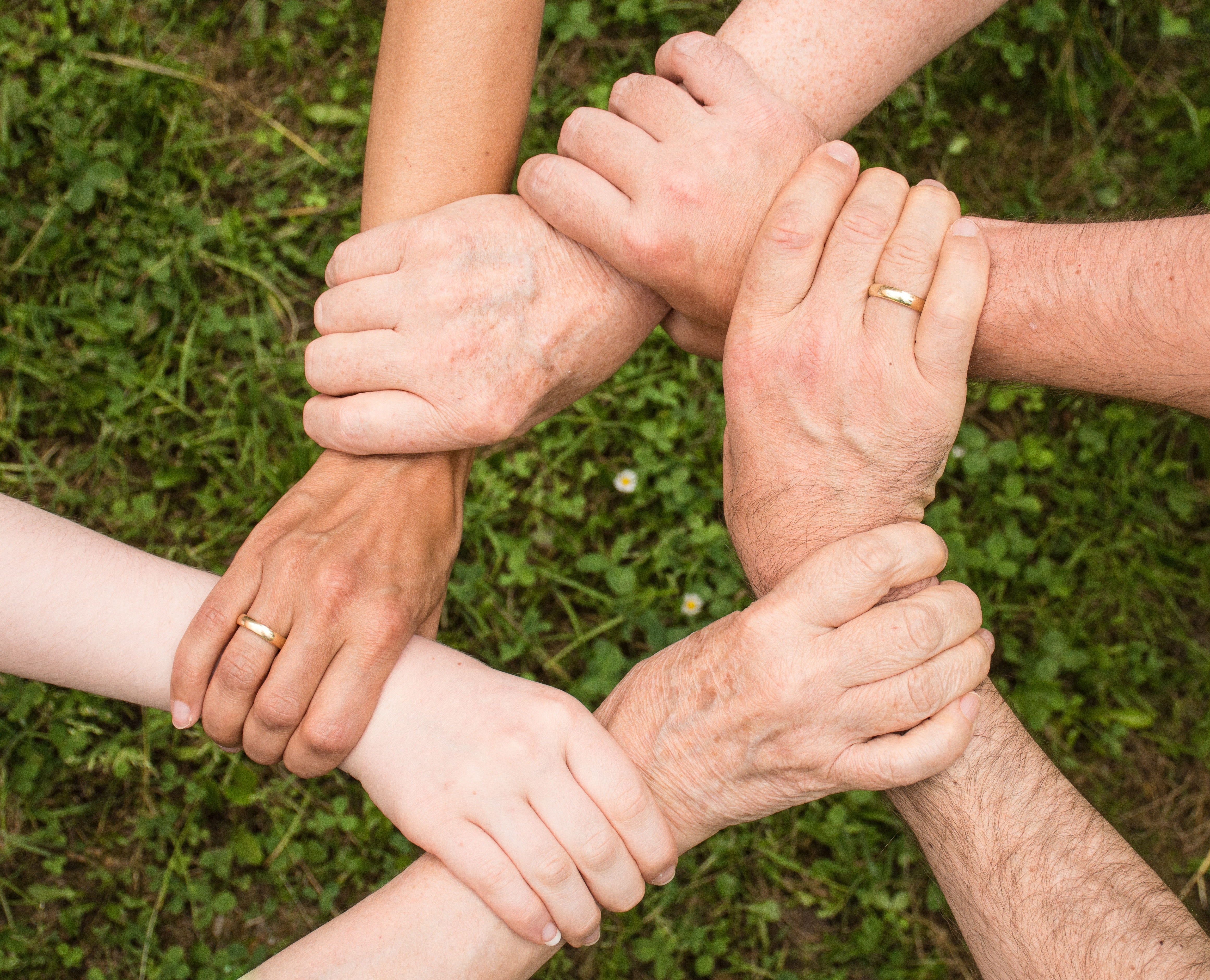 labor force trends hands holding one another to show solidarity